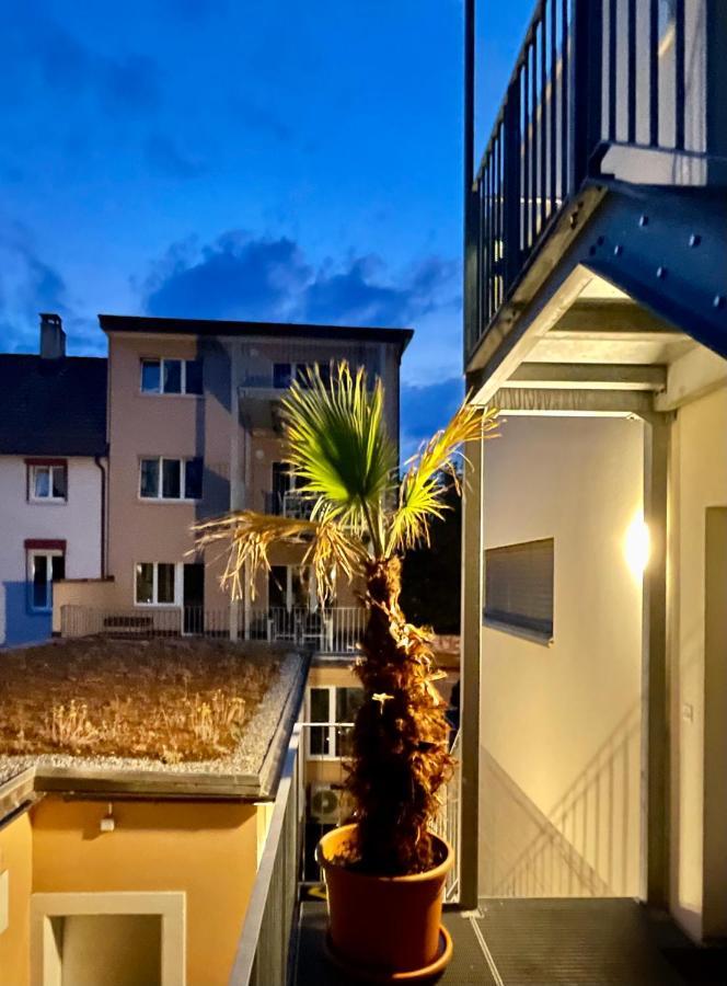 Good Night Apartments Binningen Esterno foto